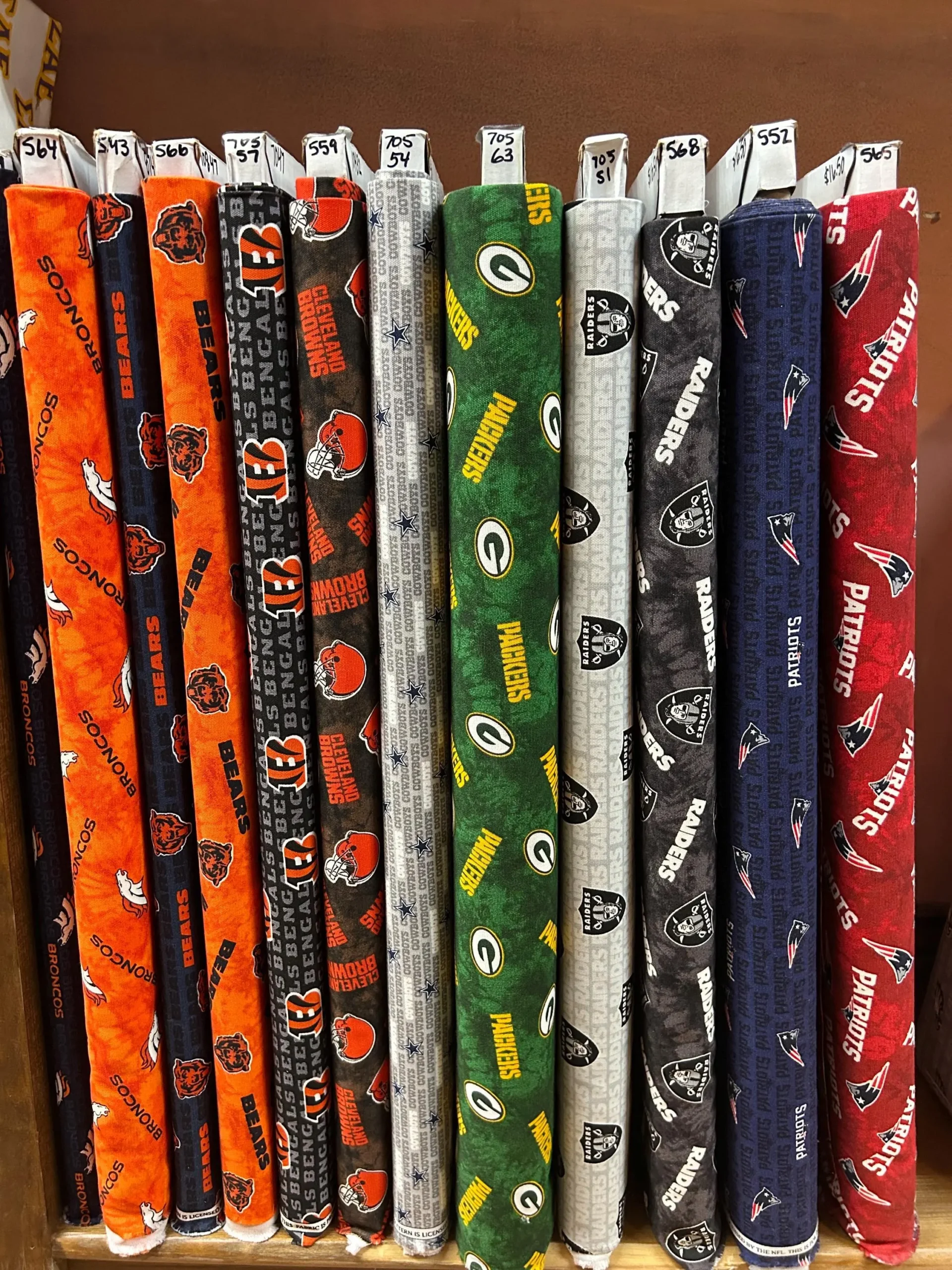 Chicago Bears Minky Fabric - Plush Team Colors