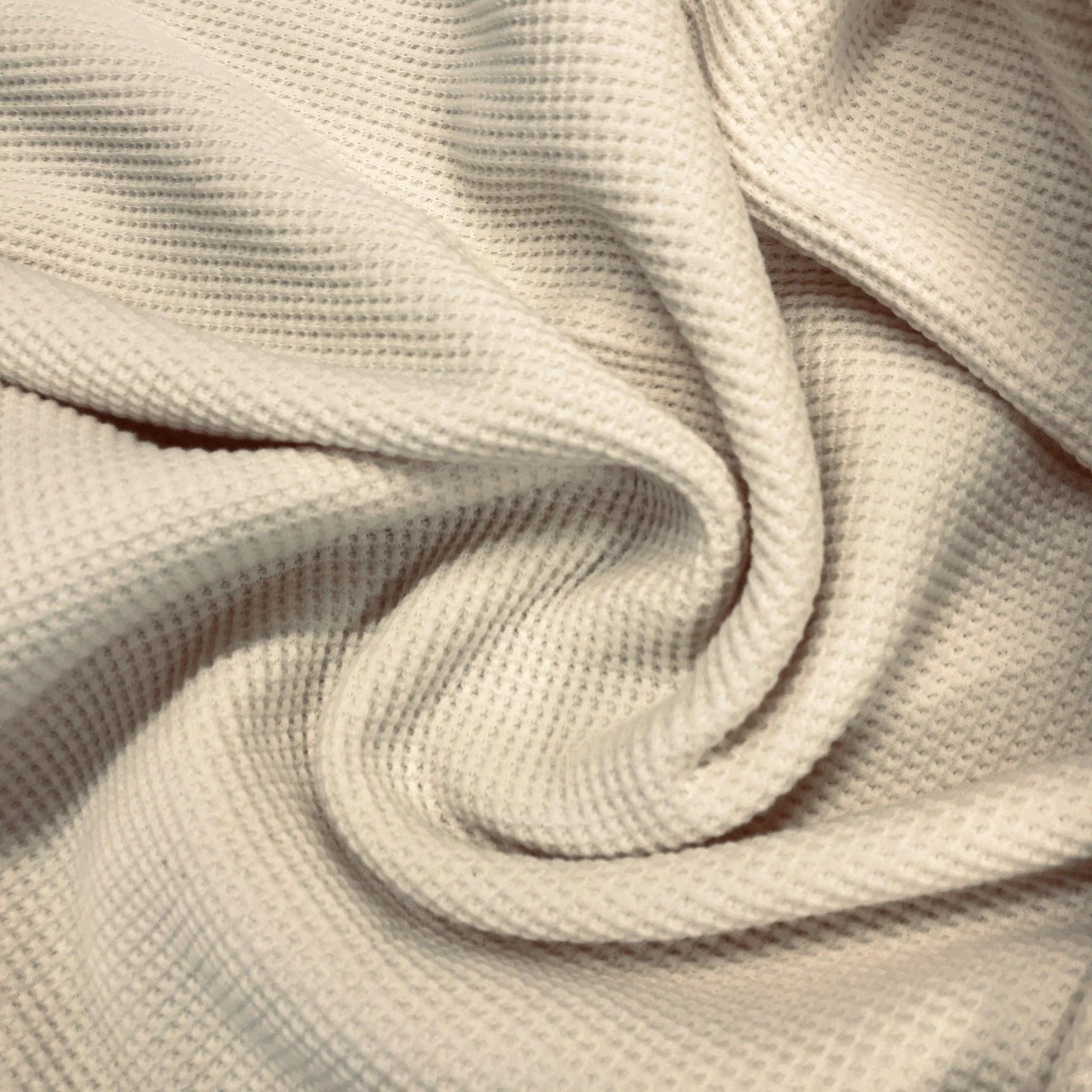 Organic Heavy Weight Canvas Fabric
